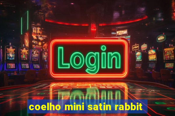 coelho mini satin rabbit